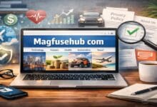 Magfusehub Com
